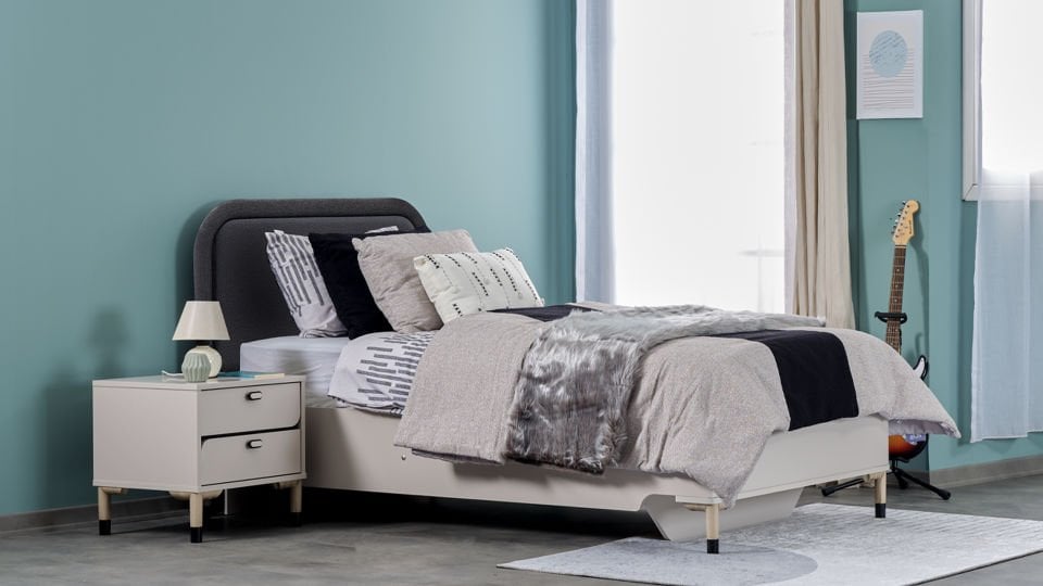 Lion Baza Başlığı 100'lük