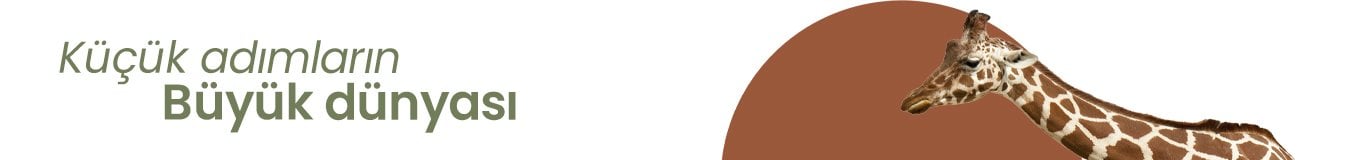 Alegra genç odası banner