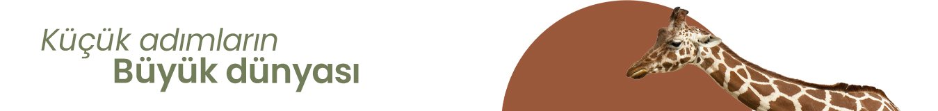 Alegra genç odası banner
