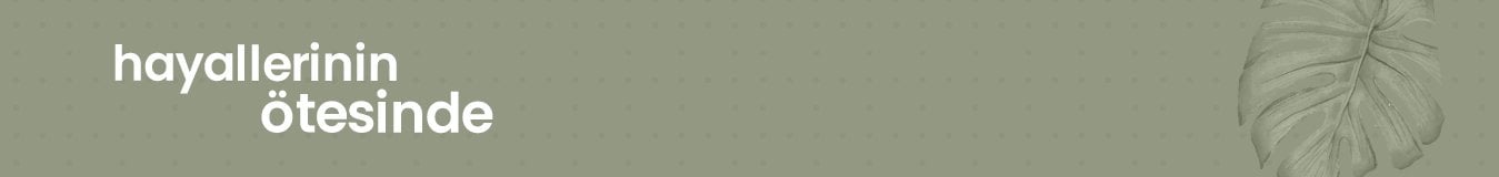 Alegra genç odası banner