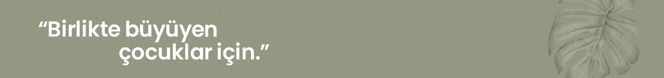 Alegra genç odası banner