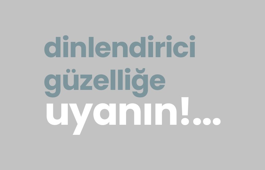 Lion Genç Odası orta alan görseli