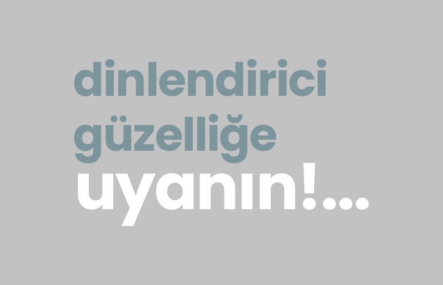 Lion Genç Odası orta alan görseli