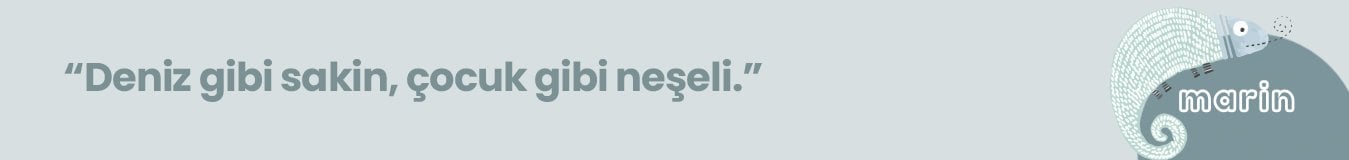 Marin genç odası banner